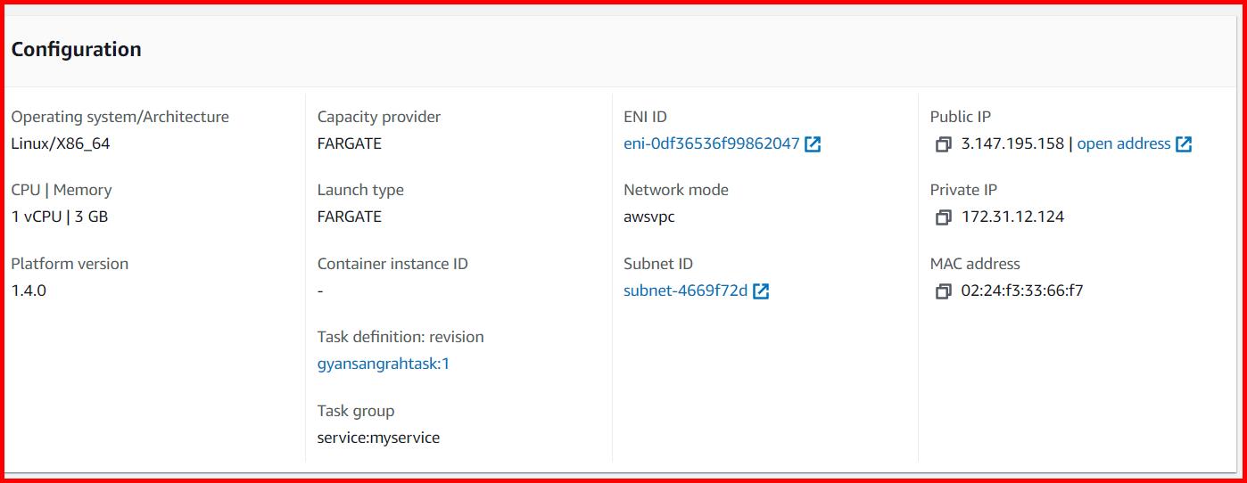 Picture showing the public IP address of the container